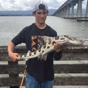 Meet your Posher, Andrew